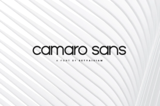 Camaro: A Font Blending Timeless Style and Modern Charm