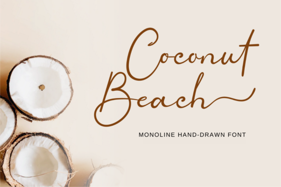 Coconut Beach: Elegant Monoline Script Font