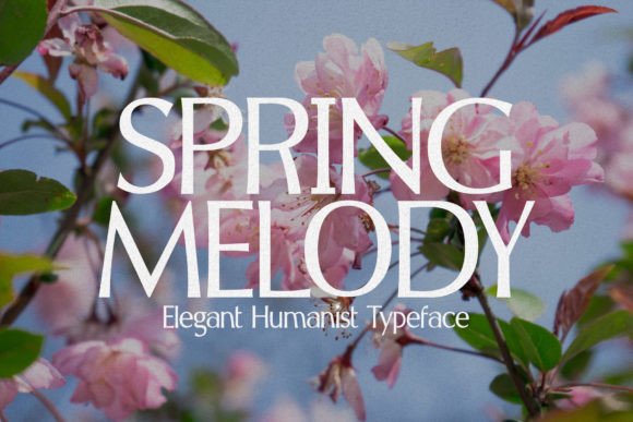 Spring Melody: Elegant Typeface for Timeless Designs